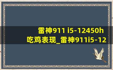 雷神911 i5-12450h吃鸡表现_雷神911i5-12450h评测